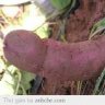 anhhungmegai