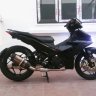 Cừu non sg
